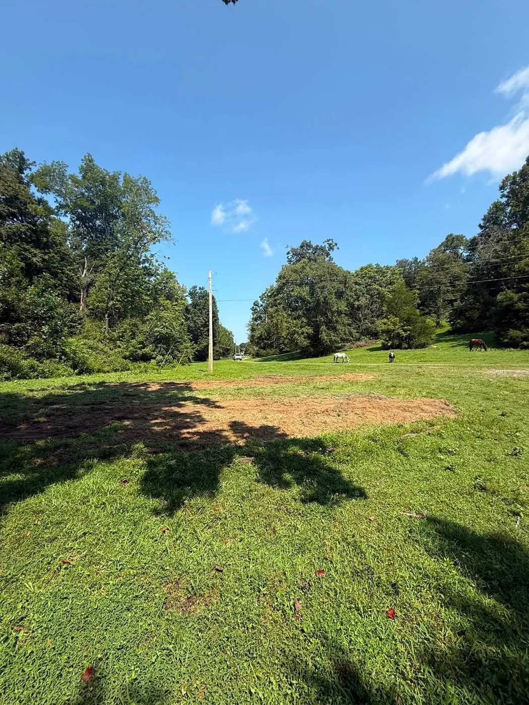 Septic tank installation in Leiper's Fork, TN